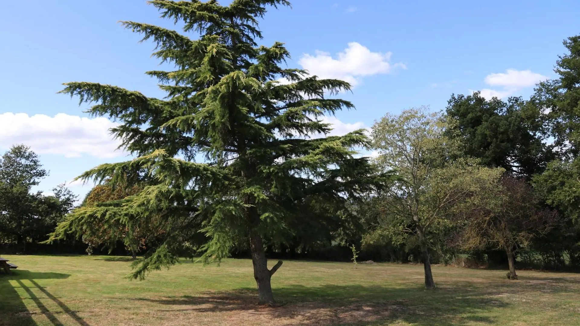 Domaine O Cedre Bleu Villa Rullac-Saint-Cirq 0*,  France