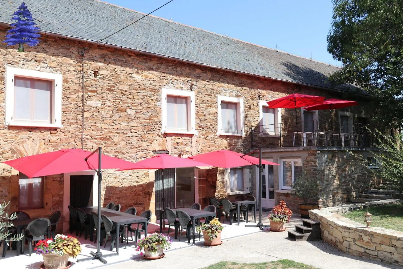 Domaine O Cedre Bleu Villa Rullac-Saint-Cirq Holiday home